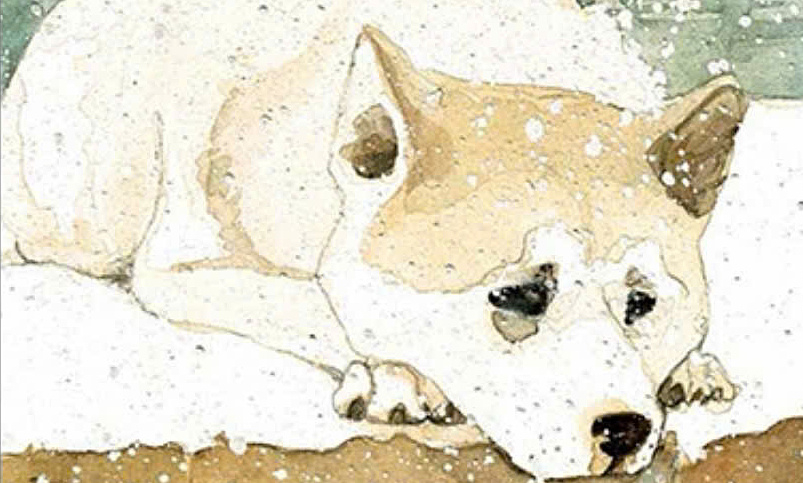 Nhà cái không chặn và câu chuyện cảm động về lòng trung thành trong ‘Hachiko, chú chó đợi chờ’ - hình ảnh - jun88go.vip