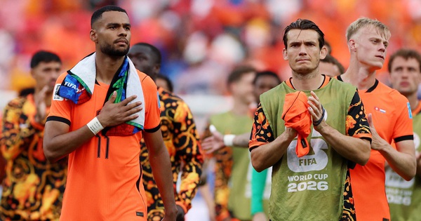 Cody Gakpo nén đau thương mất con chưa chào đời, sẵn sàng đấu Ma Rốc tại World Cup 2026 - hình ảnh - jun88go.vip
