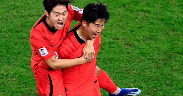 So tài Á – Phi ở World Cup 2026: Cơ hội nào cho cược thủ Việt? - hình ảnh - jun88go.vip