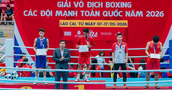 Liên đoàn Quyền anh Việt Nam bị tố bầu cử sai quy định – Cập nhật mới nhất từ Thanh Niên Thể thao - hình ảnh - jun88go.vip