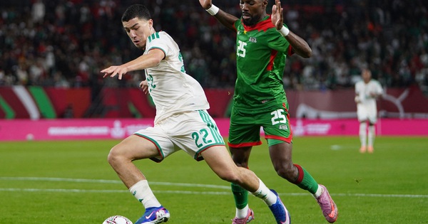 Sao trẻ gốc Việt Ibrahim Maza: Tỏa sáng World Cup 2026, bước đệm đến Premier League? - hình ảnh - jun88go.vip