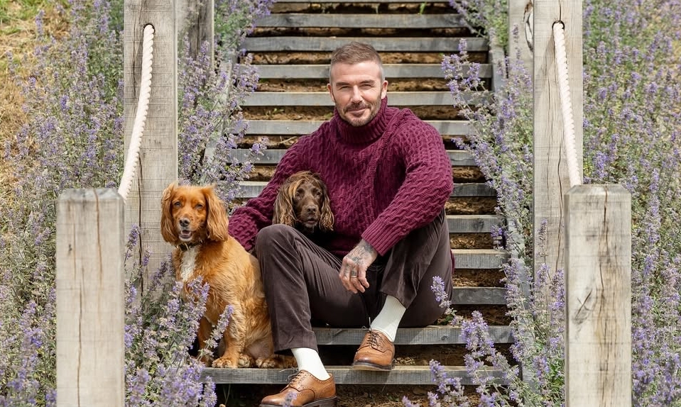 Phong Cách Mặc Giàu Ngầm Của David Beckham Và Góc Nhìn Từ Giới Cá Cược Thể Thao Uy Tín - hình ảnh - jun88go.vip